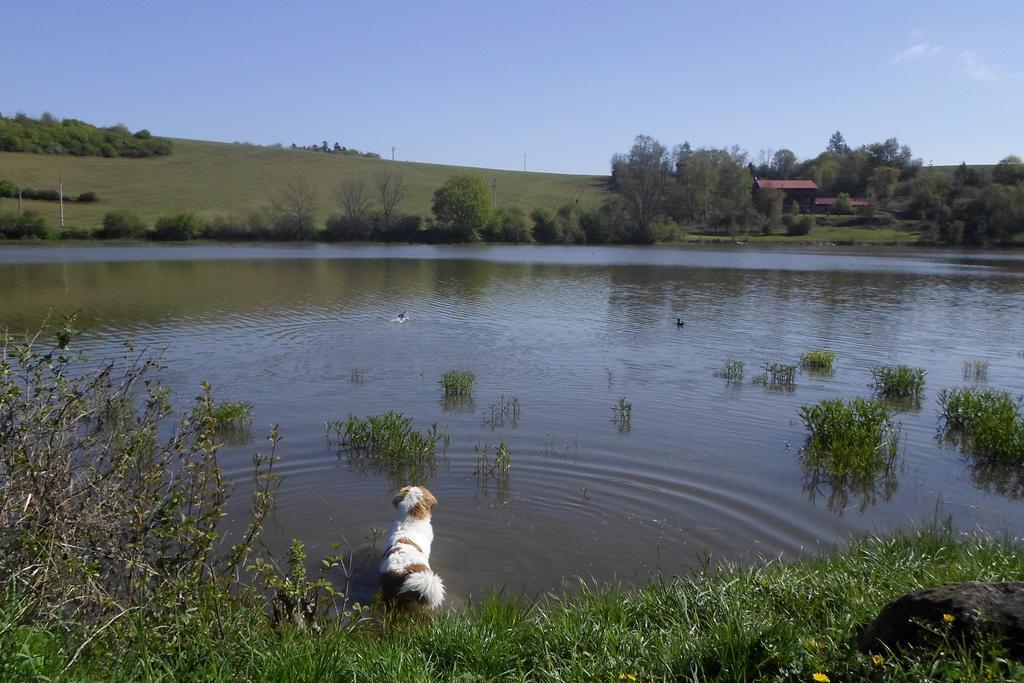 Penzion Na Prehrade Smradavka Exterior photo